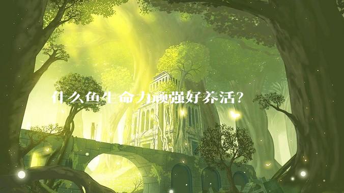 什么鱼生命力顽强好养活？
